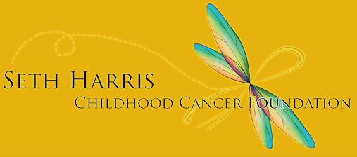 Seth Harris Childhood Cancer Foundation - Homestead Business Directory